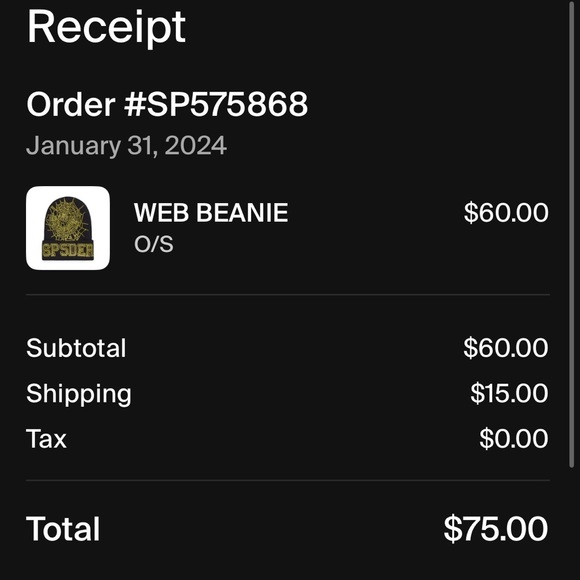 Sp5der Web Rhinestone Beanie - Picture 3 of 3